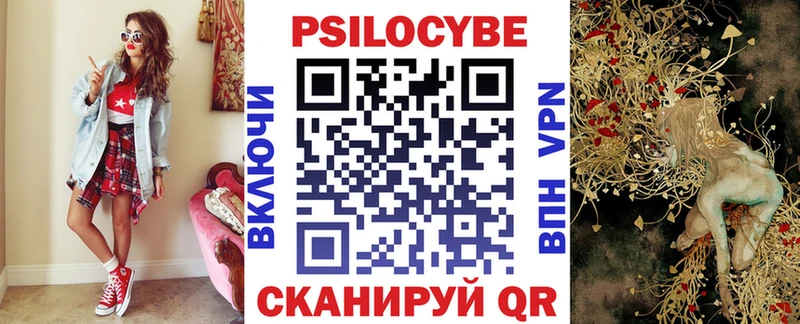 магазин продажи   Кизилюрт  Галлюциногенные грибы GOLDEN TEACHER 